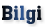 Bilgi